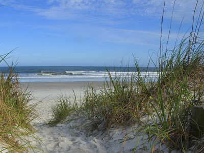 Amelia Island Guide - The Official Website of Amelia Island, FL, Fernandina  Beach, Fort Clinch and Amelia Accommodations, Hotels, Vacation Rentals,  Restaurants, Events, Entertainment, and more!