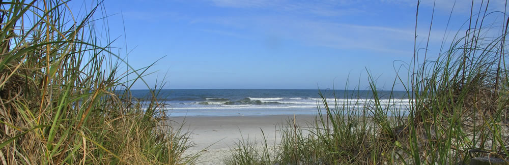 Tide Chart Myrtle Beach State Park